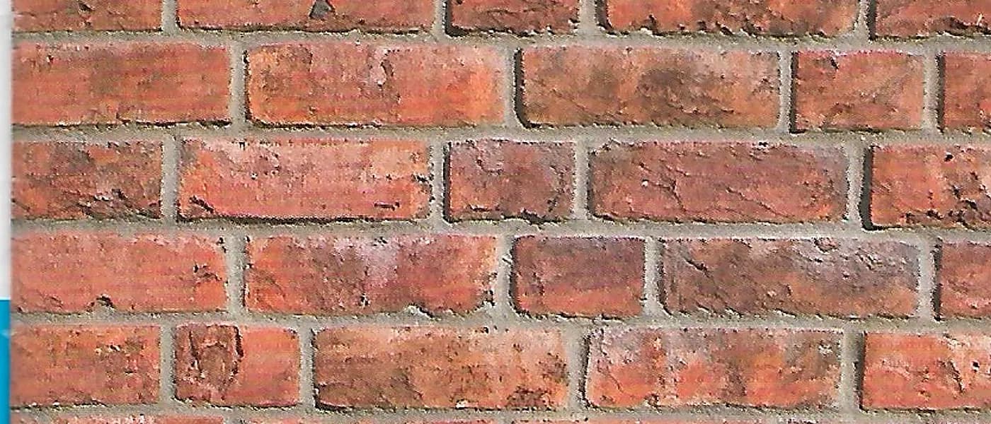 Toamnă Aurie