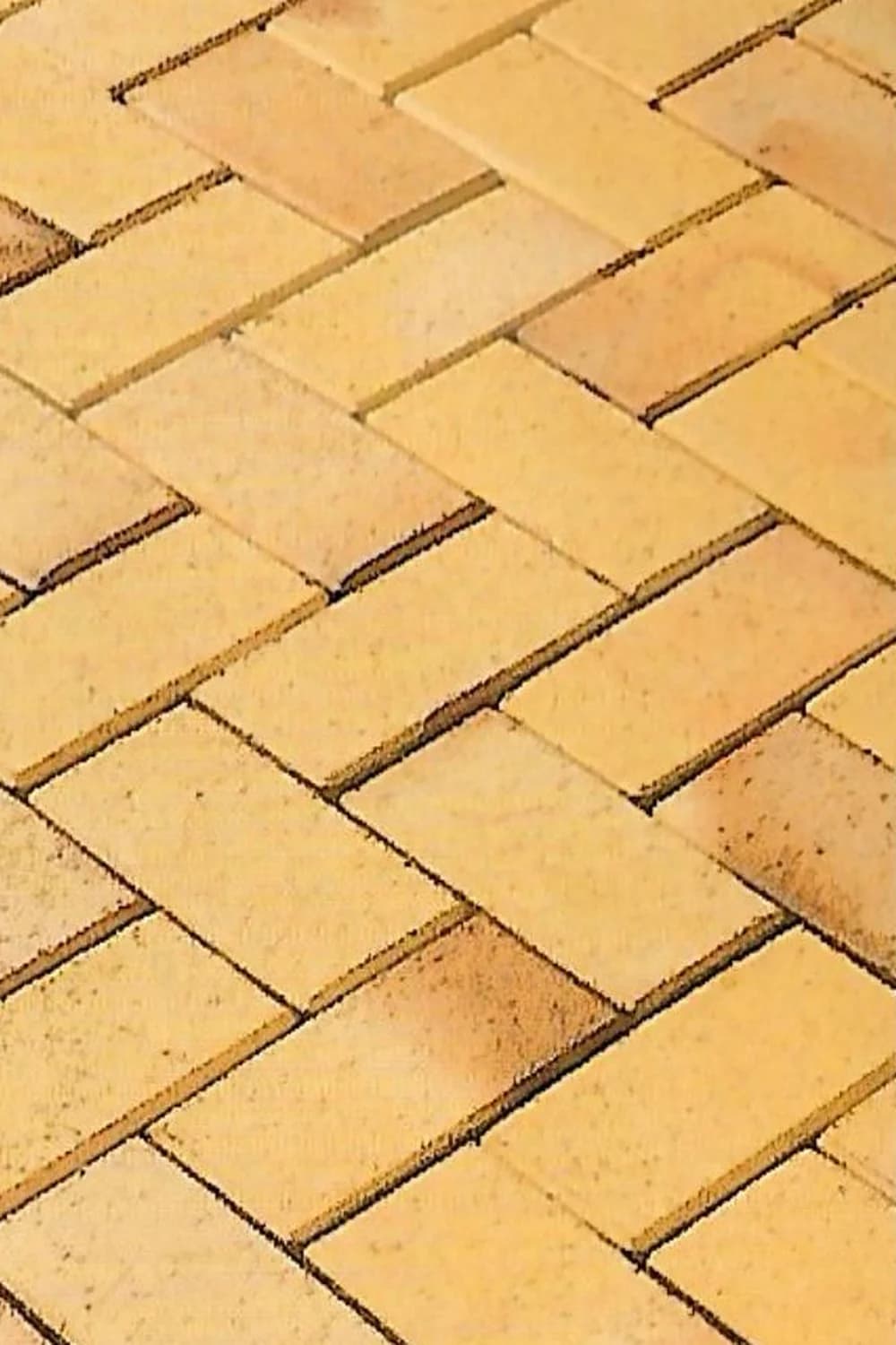 Bej Provensal