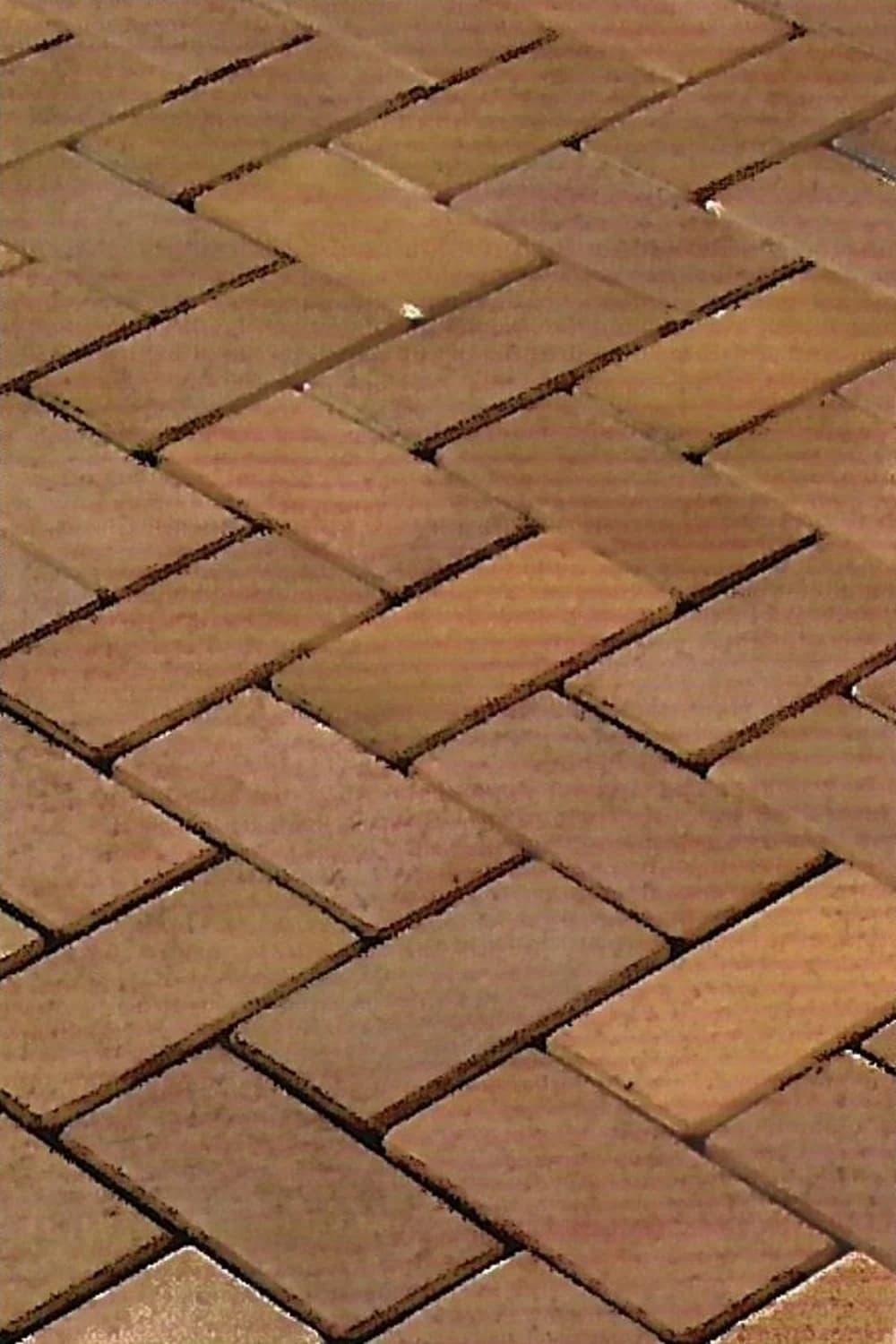 Bronz Cald