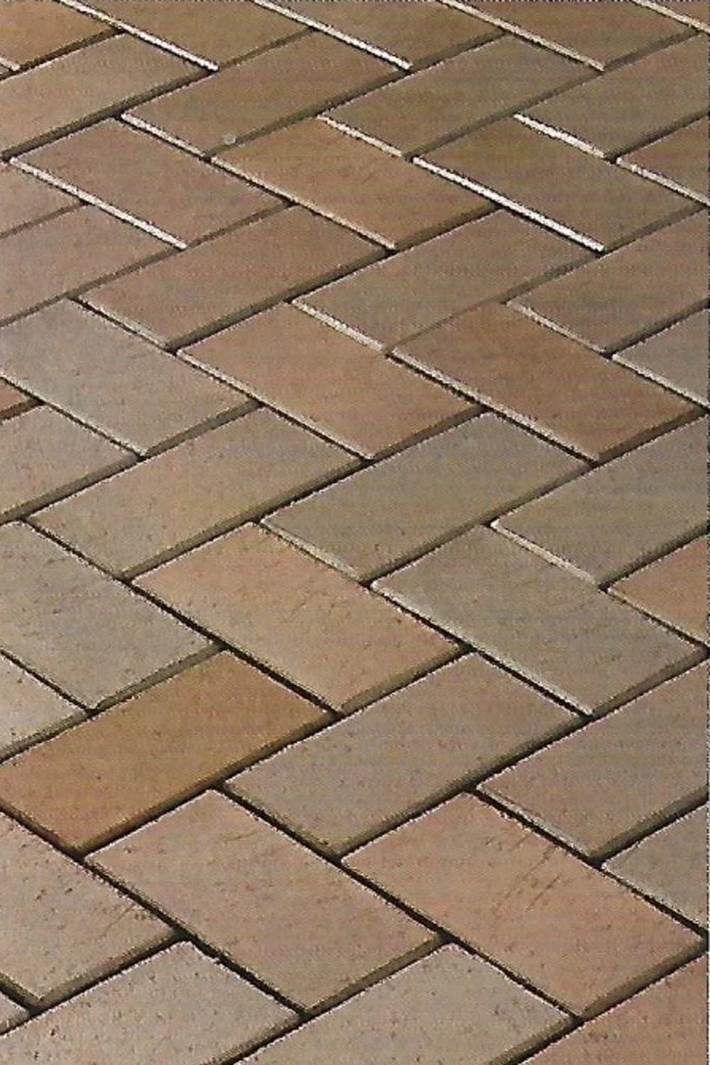 Bronz Echilibrat