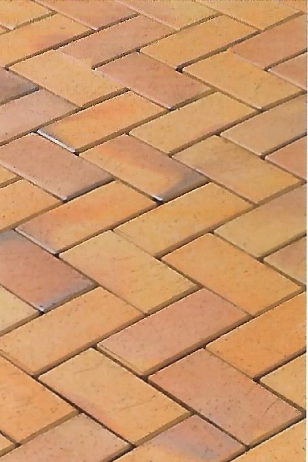 Coral Mat